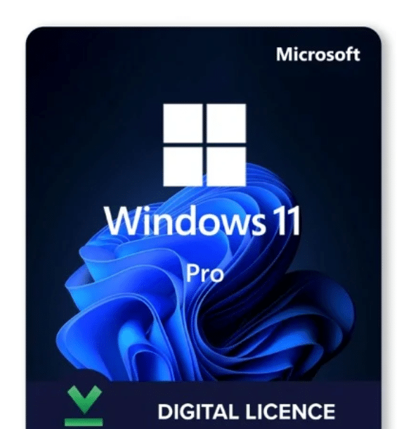 Window 10-11 Licence